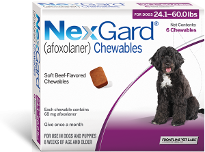 NexGard-afoxolaner-Chewables-24.1-60.0lbs-no-claims