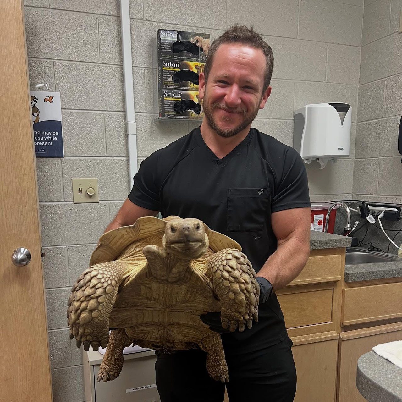 vet and exotic pet turtle